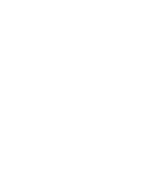 Government of Sindh logo